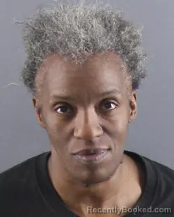 Mugshot of PAULETTE N WILLIAMS booked in Peoria County, Illinois on April 11, 2026