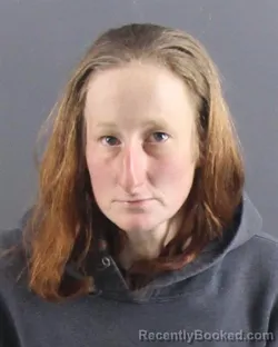 Mugshot of COURTNEY L FRISBY booked in Peoria County, Illinois on April 11, 2026