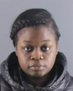 Mugshot of TYNEJA T JOHNSON booked in Peoria County, Illinois on April 12, 2026