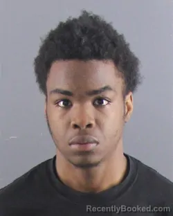 Mugshot of DQUAON D WREN booked in Peoria County, Illinois on April 13, 2026