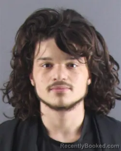 Mugshot of JOHNNIE J CHIARAVALLE booked in Peoria County, Illinois on April 14, 2026