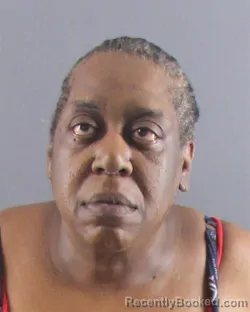 Mugshot of CHRISTINE S R PORTER booked in Peoria County, Illinois on April 13, 2026