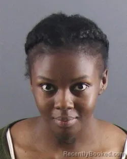 Mugshot of CARMIYA M GIBBONS booked in Peoria County, Illinois on April 15, 2026