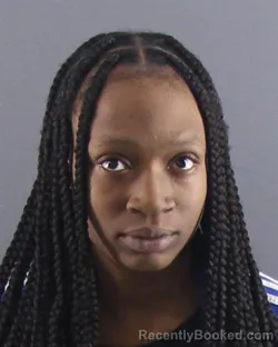 Mugshot of DANISHA D PARKER booked in Peoria County, Illinois on April 15, 2026