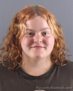 Mugshot of AMERICAS M SALLY booked in Peoria County, Illinois on April 16, 2026