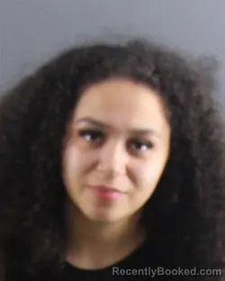 Mugshot of QWENTIANA L IVY booked in Peoria County, Illinois on April 17, 2026