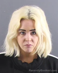 Mugshot of CHRISTINE A STEVENS booked in Peoria County, Illinois on April 20, 2026