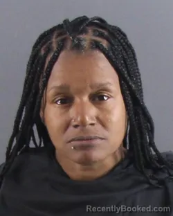 Mugshot of ERIN MORRIS booked in Peoria County, Illinois on April 20, 2026