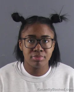 Mugshot of NIA S HOBBS booked in Peoria County, Illinois on April 21, 2026