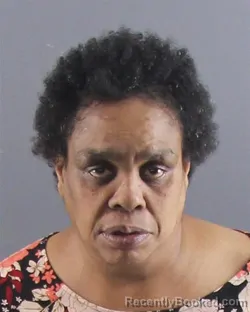 Mugshot of TAMMY ECHOLES booked in Peoria County, Illinois on April 25, 2026