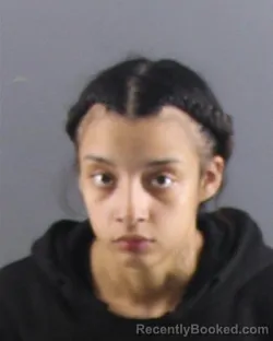 Mugshot of MARISOL PEREZ booked in Peoria County, Illinois on May 15, 2026
