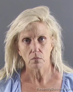 Mugshot of JILL S HODGKINS booked in Peoria County, Illinois on June 15, 2026