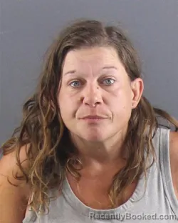 Mugshot of AMANDA R HAMANN booked in Peoria County, Illinois on June 23, 2026