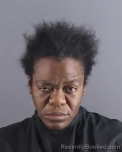 Mugshot of ALYCIA SANDERS booked in Peoria County, Illinois on June 24, 2026