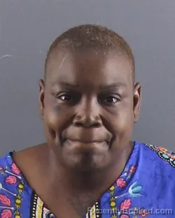 Mugshot of ERICA SHAVON JONES booked in Peoria County, Illinois on June 25, 2026