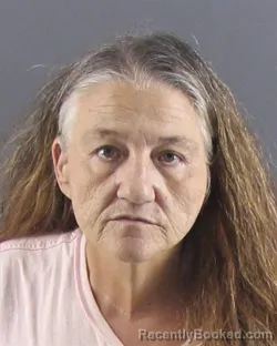 Mugshot of DAWN E SKAGGS booked in Peoria County, Illinois on June 27, 2026