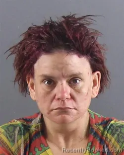 Mugshot of SAMANTHA J PAINTER booked in Peoria County, Illinois on June 29, 2026