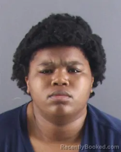 Mugshot of DEARIANNA MCMILLER booked in Peoria County, Illinois on July 2, 2026