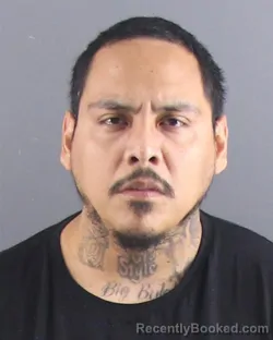 Mugshot of EDGAR SALGADO booked in Peoria County, Illinois on July 4, 2026
