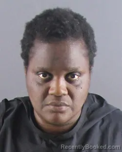 Mugshot of TONYA T HAYNES booked in Peoria County, Illinois on July 7, 2026