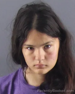 Mugshot of ADRYANNA H MENDEZ booked in Peoria County, Illinois on July 11, 2026