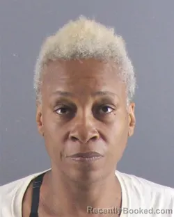 Mugshot of ANISSA E. COOLEY booked in Peoria County, Illinois on July 16, 2026