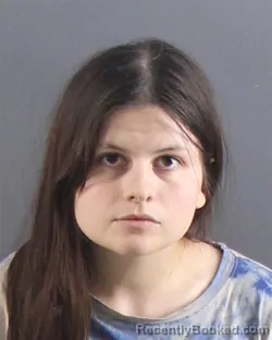 Mugshot of BREANNA V OLVERA booked in Peoria County, Illinois on July 16, 2026