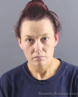 Mugshot of Jessica N Waddell booked in Peoria County, Illinois on August 22, 2026
