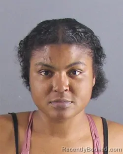 Mugshot of Tysheonna C Nunn booked in Peoria County, Illinois on August 23, 2026