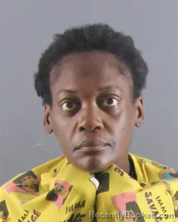 Mugshot of Miranda Denise Robinson booked in Peoria County, Illinois on August 28, 2026