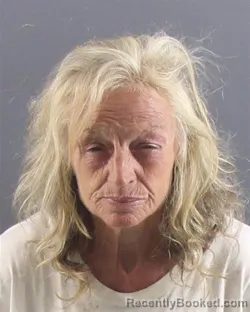Mugshot of Christina Kay Chamberlain booked in Peoria County, Illinois on September 2, 2026