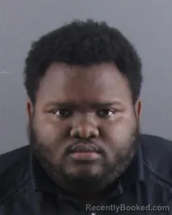 Mugshot of Raequan D Williams booked in Peoria County, Illinois on September 3, 2026