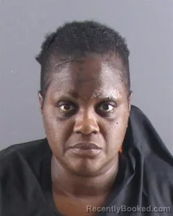 Mugshot of Tonya T Haynes booked in Peoria County, Illinois on September 3, 2026