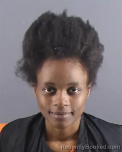 Mugshot of Bre-Aaijah T Long-Pinkney booked in Peoria County, Illinois on September 13, 2026