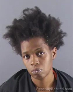 Mugshot of Kuanisha Long-Pinkney booked in Peoria County, Illinois on September 13, 2026