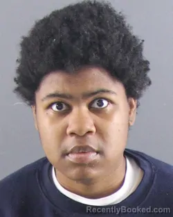 Mugshot of Darnesha N Gordon