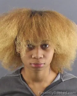 Mugshot of Nyerria N Bramlett Adams
