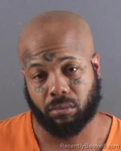 Mugshot of MARIO D WHITE
