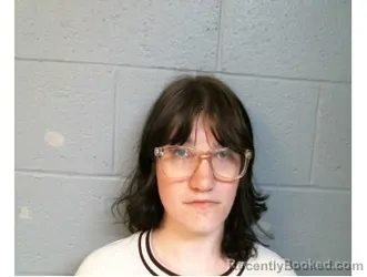 Mugshot of Elizabeth Mansell booked in Perry County, Illinois on April 1, 2026