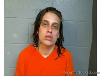 Mugshot of Mandi Spurlock