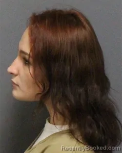 Mugshot of ANAH GRACE BROWN
