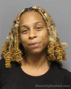 Mugshot of ALLISON LEFAYE COOK booked in Guilford County, North Carolina on March 26, 2026