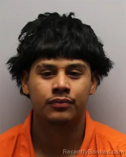 Booking photo from Guilford County, North Carolina