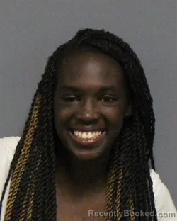 Mugshot of ABUK BITER THIYAB DANG booked in Guilford County, North Carolina on June 19, 2026
