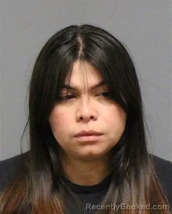 Mugshot of AMIRA GREGORIA GONZALEZ-PALACIO booked in Guilford County, North Carolina on March 26, 2026