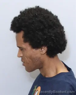 Booking photo from Guilford County, North Carolina