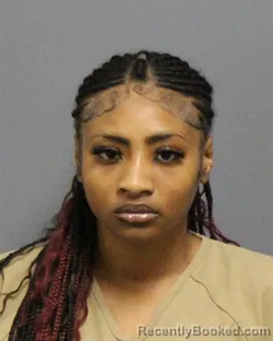 Mugshot of AIKAYLA MORENIKE OLATERU-OLAGBEGI