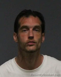 Mugshot of ALAN DONALD PEGRAM