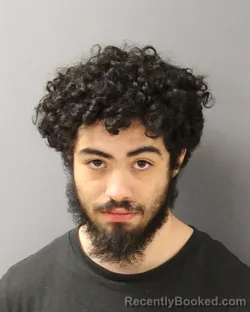 Mugshot of ANTHONY GABRIEL PALMA-MATOS