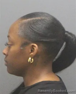 Mugshot of Alexis Eurydice Roberson booked in Guilford County, North Carolina on September 8, 2026